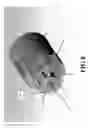 Fig. 08 - Universal bone screw screwdriver