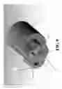 Fig. 09 - Universal bone screw screwdriver