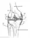 Fig. 01 - Method for creating a customized arthroplasty resection guide utilizing two-dimensional imaging