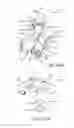 Fig. 80 - Method for creating a customized arthroplasty resection guide utilizing two-dimensional imaging