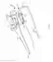 Fig. 05 - LOCKABLE TENSIONING FLOSSER
