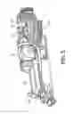 Fig. 04 - Oral care appliance using a variable fluid flow