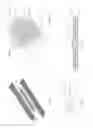 Fig. 09 - Medical sling with detachable sling elements