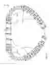 Fig. 02 - Methods, devices, and systems for percutaneously anchoring annuloplasty rings