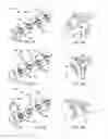 Fig. 07 - Methods, devices, and systems for percutaneously anchoring annuloplasty rings