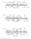 Fig. 13 - Methods, devices, and systems for percutaneously anchoring annuloplasty rings