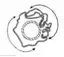 Fig. 01 - Uniform crimping and deployment methods for polymer scaffold