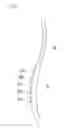Fig. 07 - SPINE PROTECTIVE AND CORRECTIVE EQUIPMENT