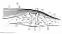 Fig. 01 - Flowable composition that hardens on delivery to a target tissue site beneath the skin