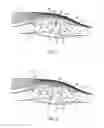 Fig. 02 - Flowable composition that hardens on delivery to a target tissue site beneath the skin