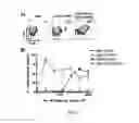 Fig. 11 - Lipid vesicle compositions and methods of use