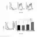Fig. 13 - Lipid vesicle compositions and methods of use