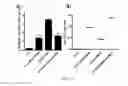 Fig. 14 - Lipid vesicle compositions and methods of use