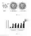 Fig. 15 - Lipid vesicle compositions and methods of use