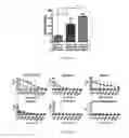 Fig. 21 - Lipid vesicle compositions and methods of use