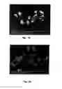 Fig. 24 - NANOPARTICLE FABRICATION METHODS, SYSTEMS, AND MATERIALS