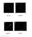 Fig. 31 - NANOPARTICLE FABRICATION METHODS, SYSTEMS, AND MATERIALS