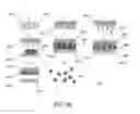 Fig. 45 - NANOPARTICLE FABRICATION METHODS, SYSTEMS, AND MATERIALS