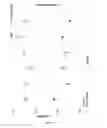 Fig. 13 - Nanocapsules of protamine