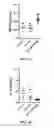 Fig. 02 - Methods of maintaining and improving muscle function