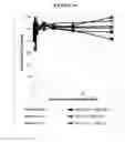 Fig. 05 - Compositions and methods for drug-sensitization or inhibition of a cancer cell