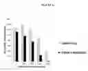 Fig. 07 - Compositions and methods for drug-sensitization or inhibition of a cancer cell