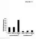 Fig. 33 - Compositions and methods for drug-sensitization or inhibition of a cancer cell