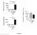 Fig. 15 - Combination of immunotherapies with activators of Tie-2