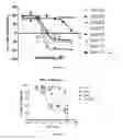 Fig. 05 - Coumarin derivatives and methods of use in treating hyperproliferative diseases