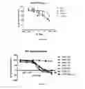 Fig. 06 - Coumarin derivatives and methods of use in treating hyperproliferative diseases