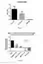Fig. 08 - Coumarin derivatives and methods of use in treating hyperproliferative diseases
