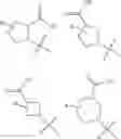 Fig. 25 - GLP-1 receptor modulators