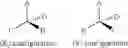 Fig. 30 - GLP-1 receptor modulators