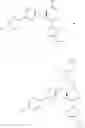 Fig. 60 - GLP-1 receptor modulators