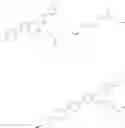 Fig. 74 - GLP-1 receptor modulators