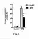 Fig. 06 - Anti-inflammatory pharmaceutical composition comprising benzopyranyl tetracycles