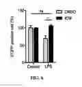 Fig. 07 - Anti-inflammatory pharmaceutical composition comprising benzopyranyl tetracycles