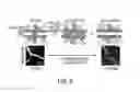 Fig. 06 - THERAPEUTIC METHODS