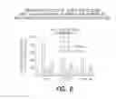 Fig. 08 - Pharmaceutical composition, methods for treating and uses thereof