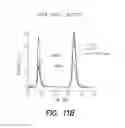 Fig. 14 - Pharmaceutical composition, methods for treating and uses thereof