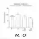 Fig. 17 - Pharmaceutical composition, methods for treating and uses thereof