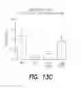Fig. 19 - Pharmaceutical composition, methods for treating and uses thereof