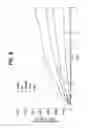Fig. 14 - Pharmaceutical composition, methods for treating and uses thereof