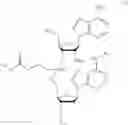 Fig. 15 - Compositions and methods for treating viral infections