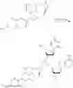 Fig. 42 - Compositions and methods for treating viral infections