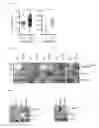 Fig. 02 - Combination therapy for MDS