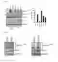 Fig. 03 - Combination therapy for MDS