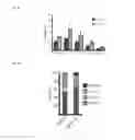 Fig. 10 - Combination therapy for MDS