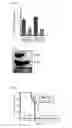 Fig. 19 - Combination therapy for MDS