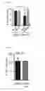 Fig. 34 - Combination therapy for MDS